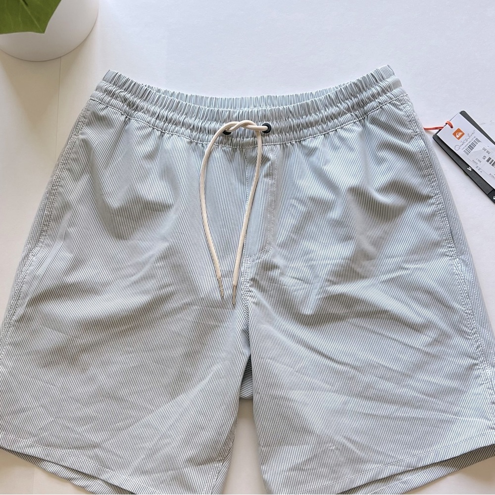 Quiksilver Waterman Boardshorts - Color: Green/White Striped - Size Small